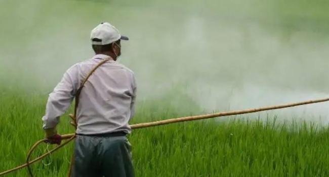 Banned pesticides used in Sri Lanka?